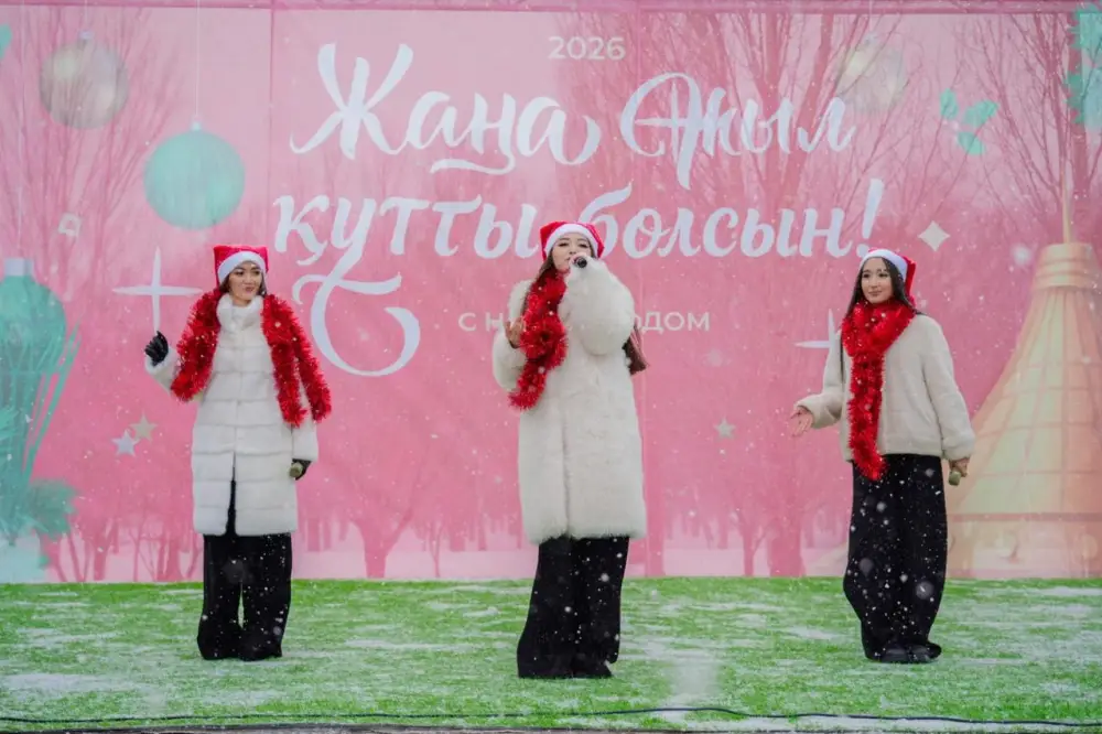 Новогодние праздничные концерты проходят во всех районах столицы (2)