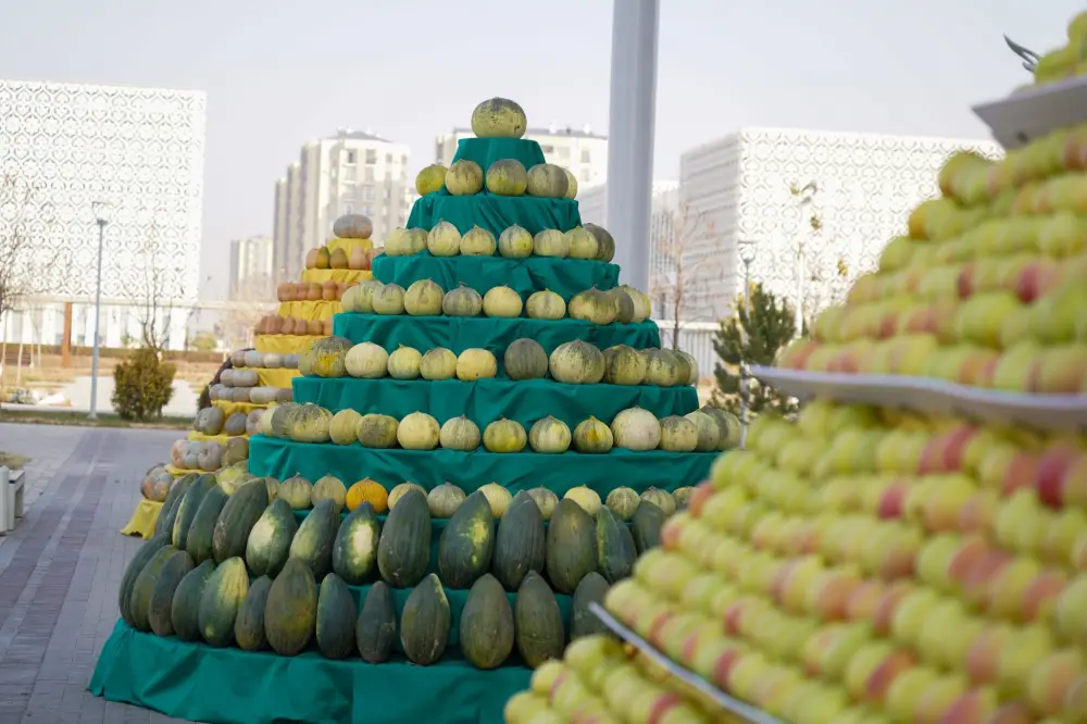В ТУРКЕСТАНСКОЙ ОБЛАСТИ ПОЧЕТНЫМИ ЗНАКАМИ ОТМЕТИЛИ РАБОТНИКОВ СЕЛЬСКОГО ХОЗЯЙСТВА (2)