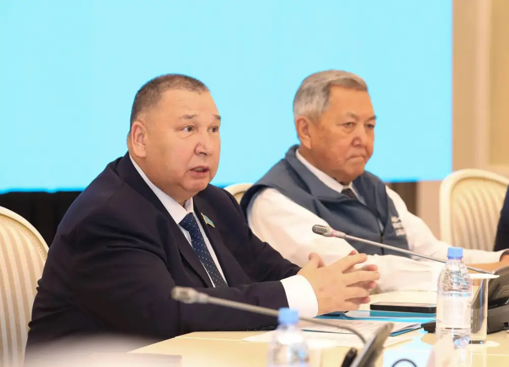 Нурдаулет Килыбай встретился с рабочими специалистами из числа членов АНК (4)