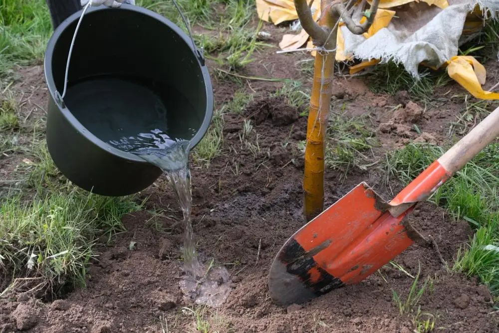 Дархан Сатыбалды обозначил приоритеты экологической политики Алматы в рамках программы «Таза Қазақстан» (4)