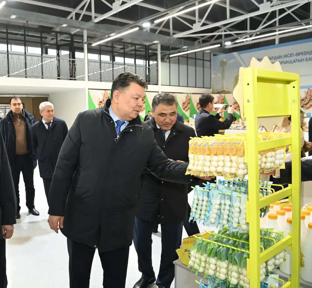 Заместитель Премьер-министра ознакомился с работой малой промышленной зоны «Тумар» (4)