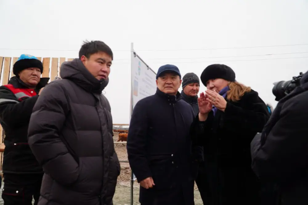 В Ерейментауском районе формируется крупный мясной кластер (5)