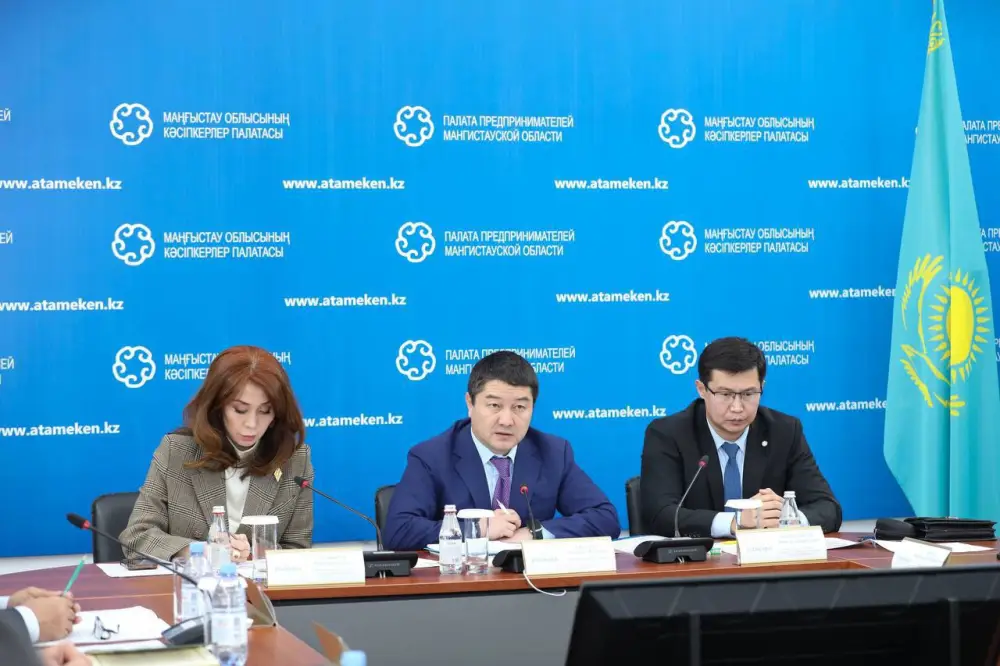 Нурдаулет Килыбай встретился с представителями бизнеса (2)