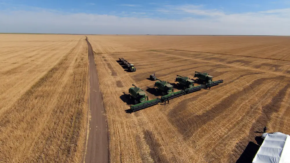 Акмолинская область стала лидером страны по валовому сбору зерновых (2)