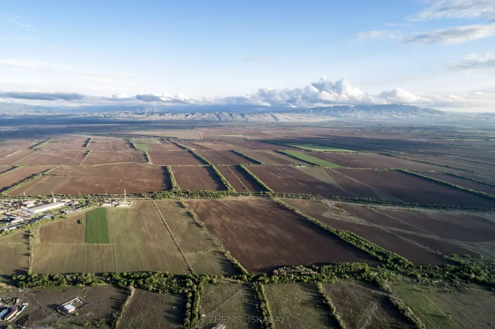 За 3 года в Жетісу введено в оборот 712 тыс. га неиспользуемых земель, а еще 603 тыс. га возвращено в госсобственность (4)