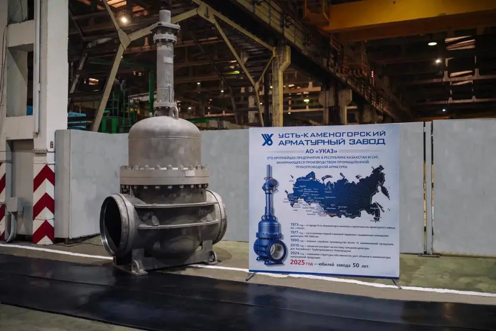 Запуск Реестра казахстанских товаропроизводителей: бизнес поддержал государственную реформу в промышленности (4)