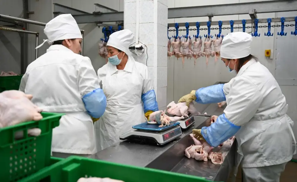 57,3 тыс. рабочих мест создано в Жамбылской области (4)