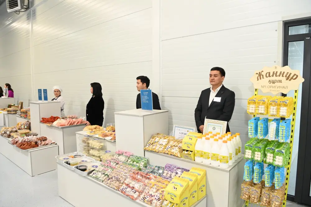 Заместитель Премьер-министра ознакомился с работой малой промышленной зоны «Тумар» (10)