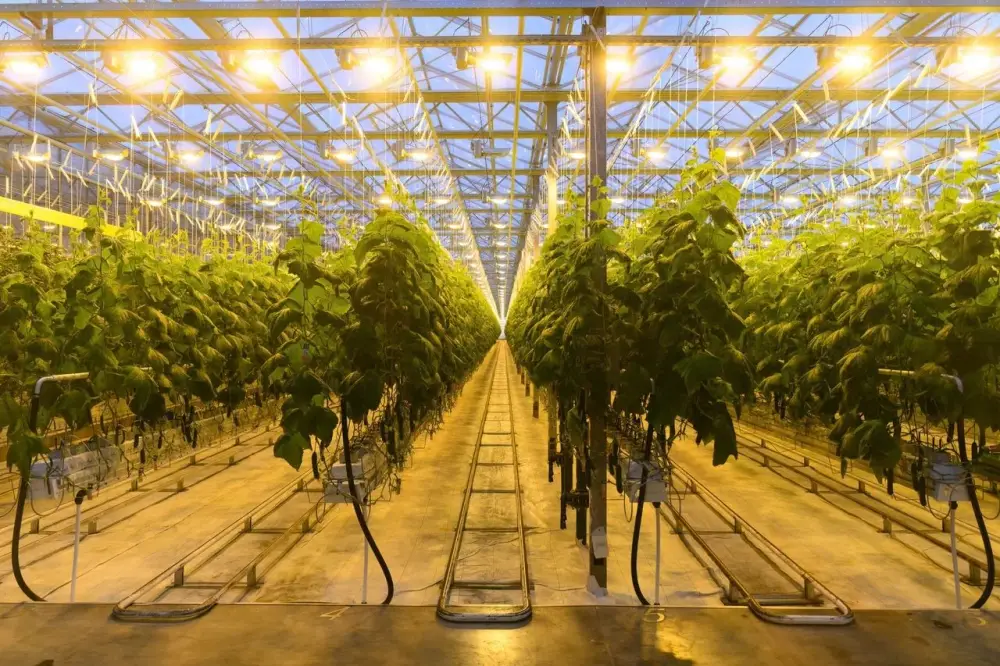 Производство сгущенного молока мощностью 12 тыс. тонн в год запустили в СКО (10)