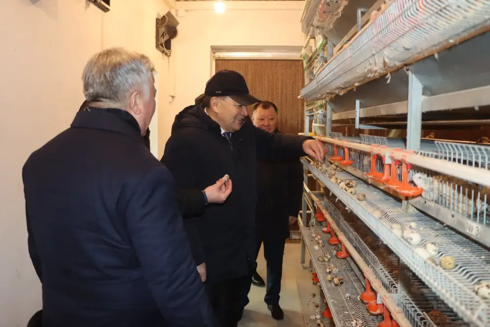 Советник главы Правительства посетил село Бесарык (4)