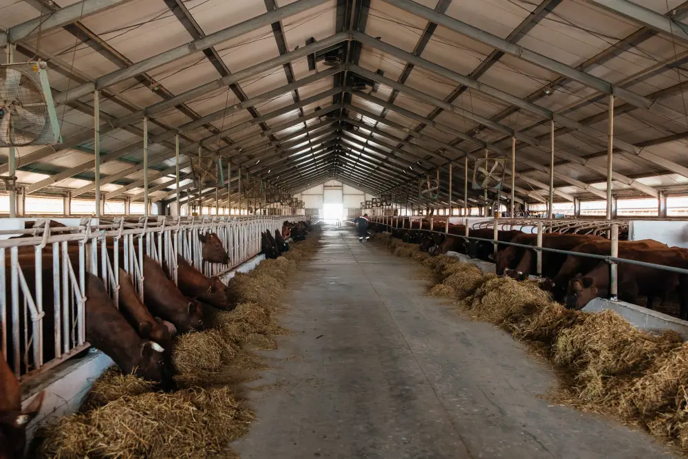 В Атырауской области объём производства сельскохозяйственной продукции достиг 116,8 млрд тенге (3)