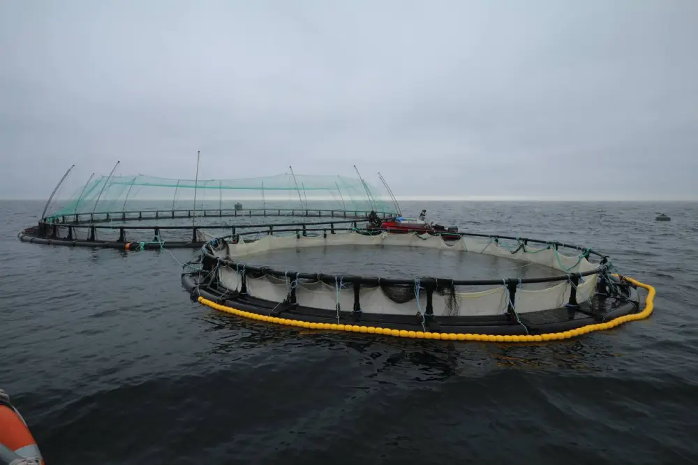 В Мангистау реализуется первый в Центральной Азии проект морской аквакультуры (3)