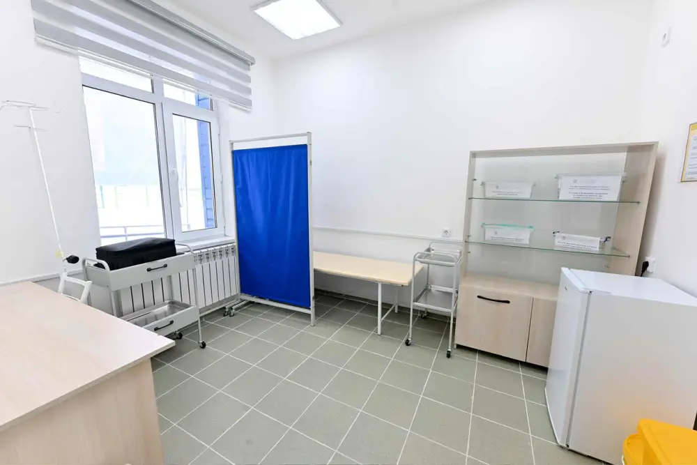 Аким области ознакомился с работой медицинского пункта в селе Малтүгел (4)