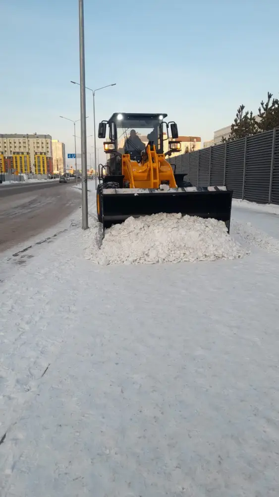 Почти 3 000 дорожных рабочих и свыше 1 400 единиц спецтехники задействованы в снегоуборочных работах в Астане (5)
