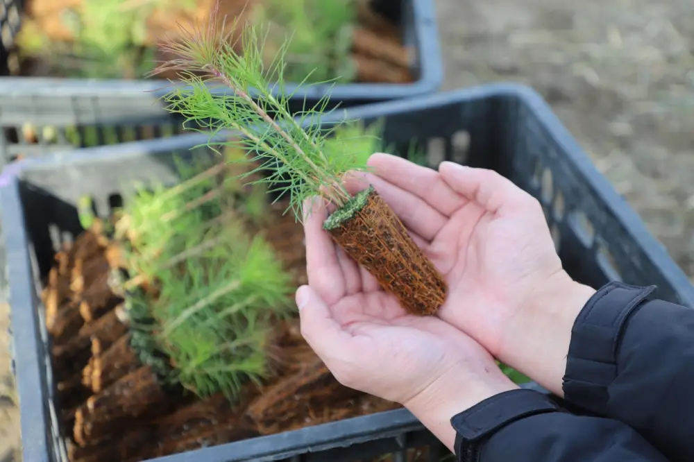 «Таза Қазақстан»: в Талдыкоргане благоустроено 39 дворов, установлено 20 детских площадок (10)