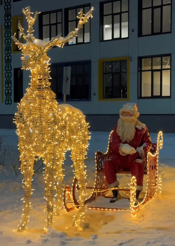 Горки, катки и новогодние елки: где в Астане расположены главные зимние локации (2)