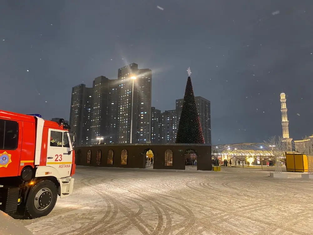 МЧС обеспечило пожарную безопасность при зажжении новогодних елок в столице (3)