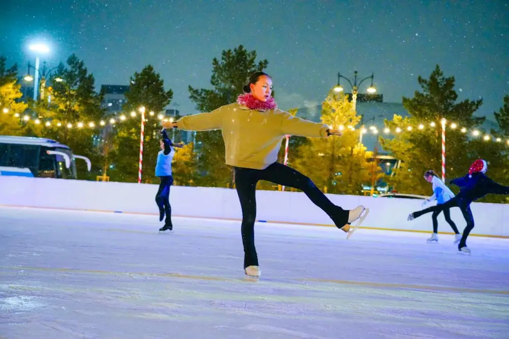 Более 40 новогодних ёлок одновременно зажгли в Астане (6)