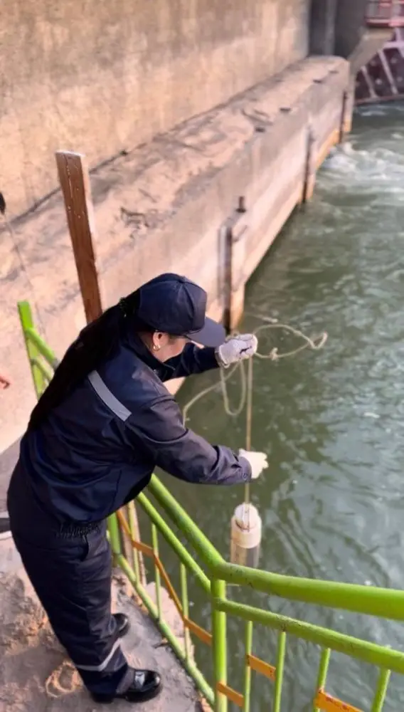 Результаты инспекционной деятельности за 10 месяцев 2025 года (6)