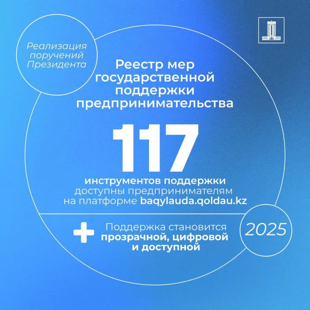 Исполнение поручений Президента по поддержке МСБ: каждый пятый казахстанец работает в сфере бизнеса (3)