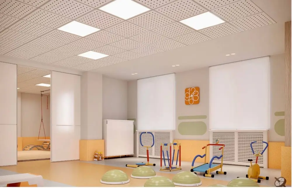 В Северо-Казахстанской области откроются два новых реабилитационных центра для детей с особыми потребностями (4)