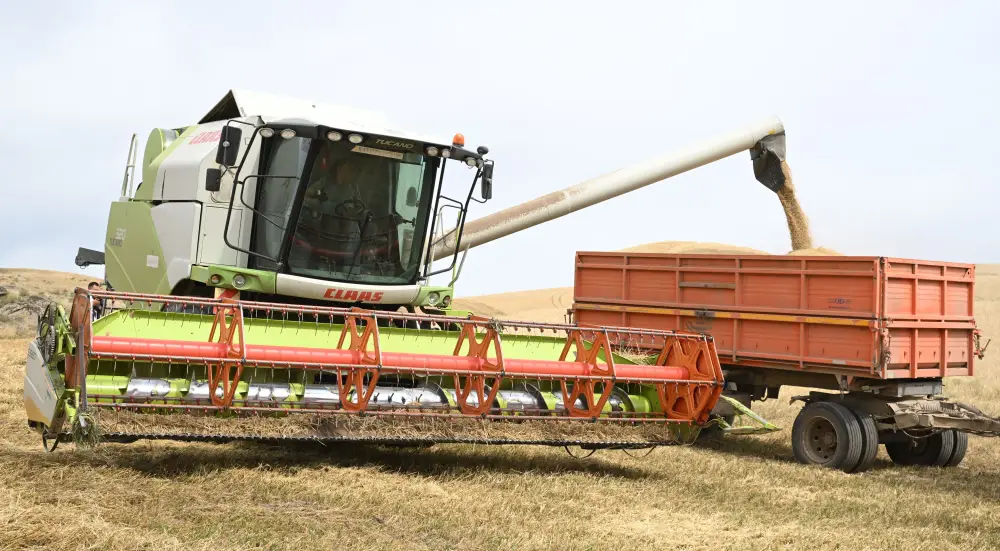 За 3 года в Жетісу введено в оборот 712 тыс. га неиспользуемых земель, а еще 603 тыс. га возвращено в госсобственность (3)