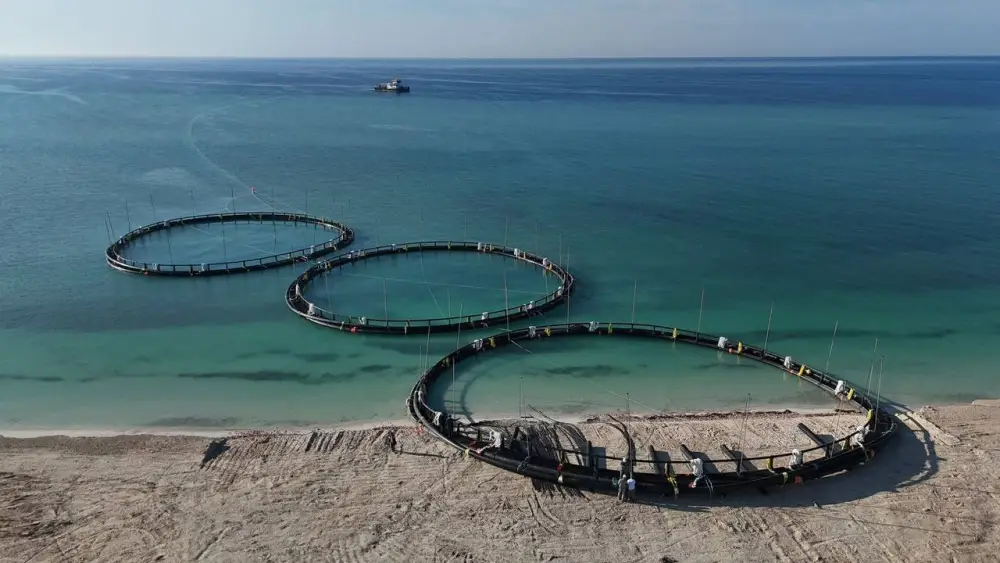 Мангистауская область усиливает работу по привлечению инвесторов и реализации крупных проектов (5)