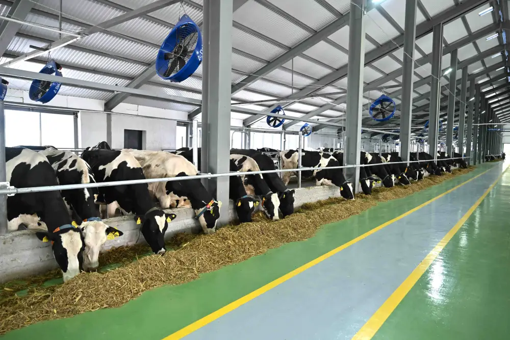 ТУРКЕСТАНСКАЯ ОБЛАСТЬ ЛИДИРУЕТ В РЕСПУБЛИКЕ ПО ОБЪЕМУ СЕЛЬХОЗПРОДУКЦИИ - ПРОИЗВЕДЕНО 1,1 ТРЛН ТЕНГЕ (5)