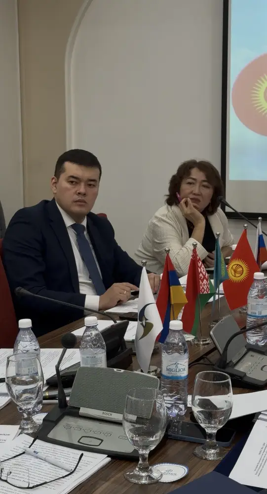 Заседание Подкомитета по карантинным фитосанитарным мерам Консультативного комитета по применению технических, санитарных, ветеринарных и фитосанитарных мер при Коллегии Евразийской экономической комиссии (3)