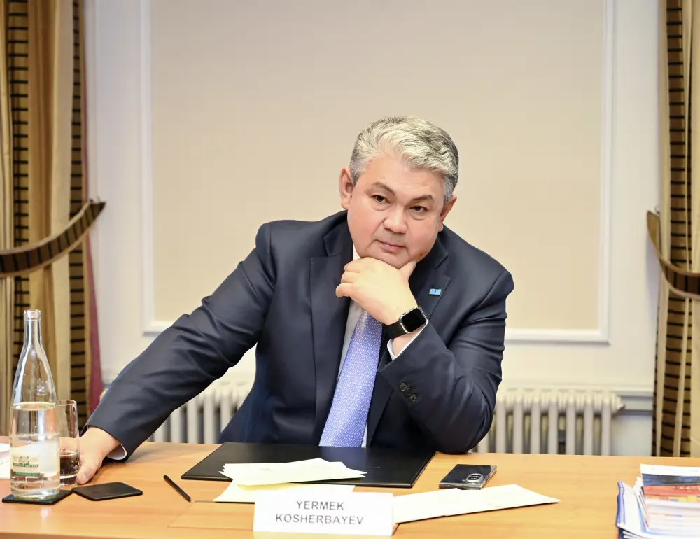 Министр иностранных дел Казахстана обсудил со швейцарским бизнесом модернизацию инфраструктуры и агропромышленного комплекса (3)