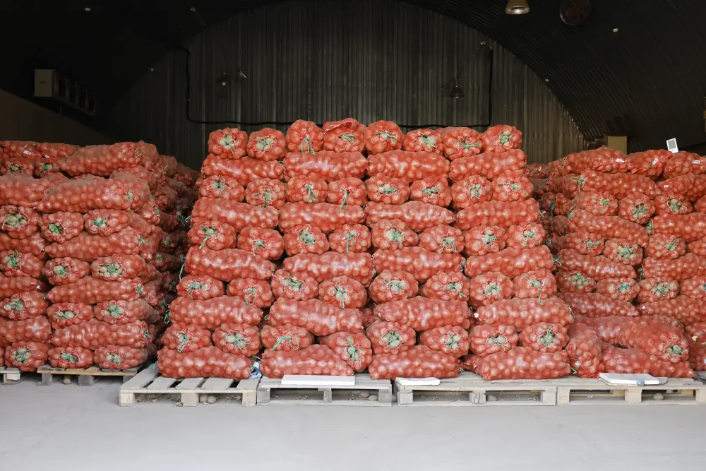 Первый вице-министр торговли и интеграции РК Айжан Бижанова посетила область Жетісу с рабочей поездкой (7)