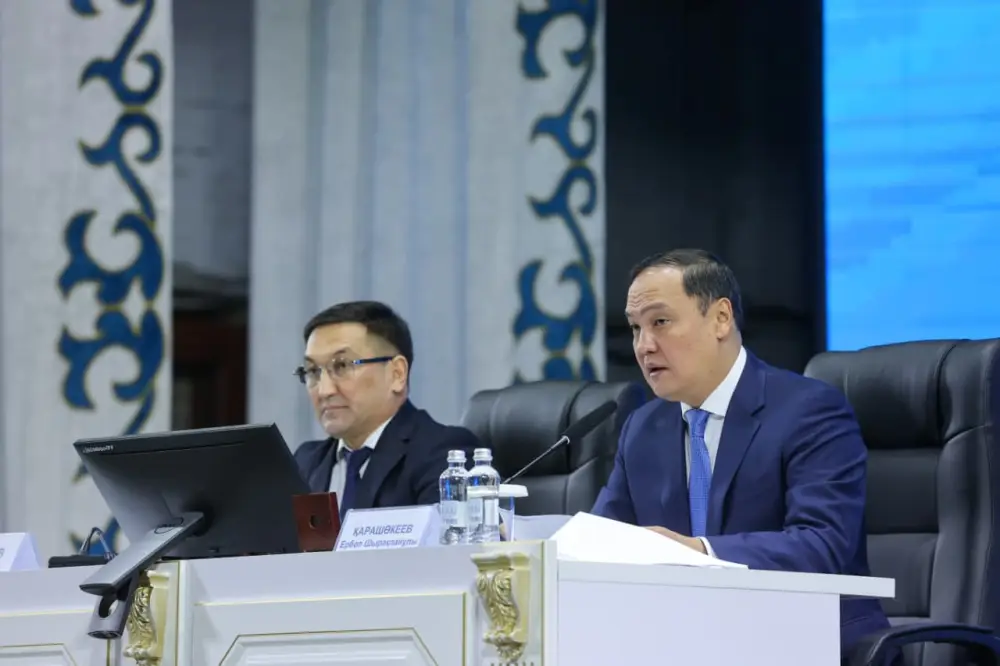 Ербол Карашукеев провёл встречу с жителями Сарысуского района (7)