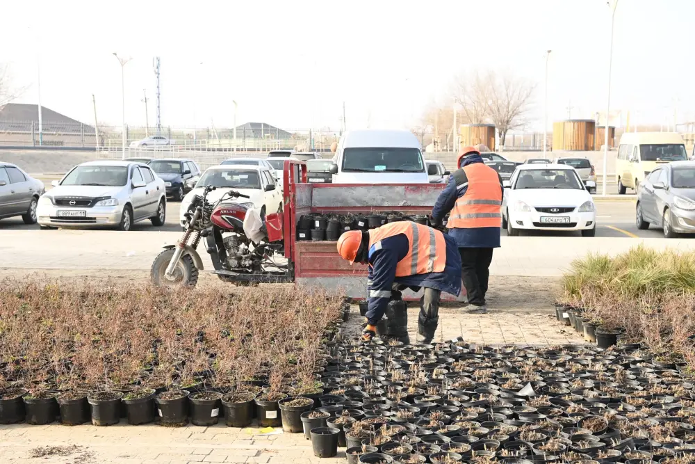 Увеличится количество мест отдыха (4)