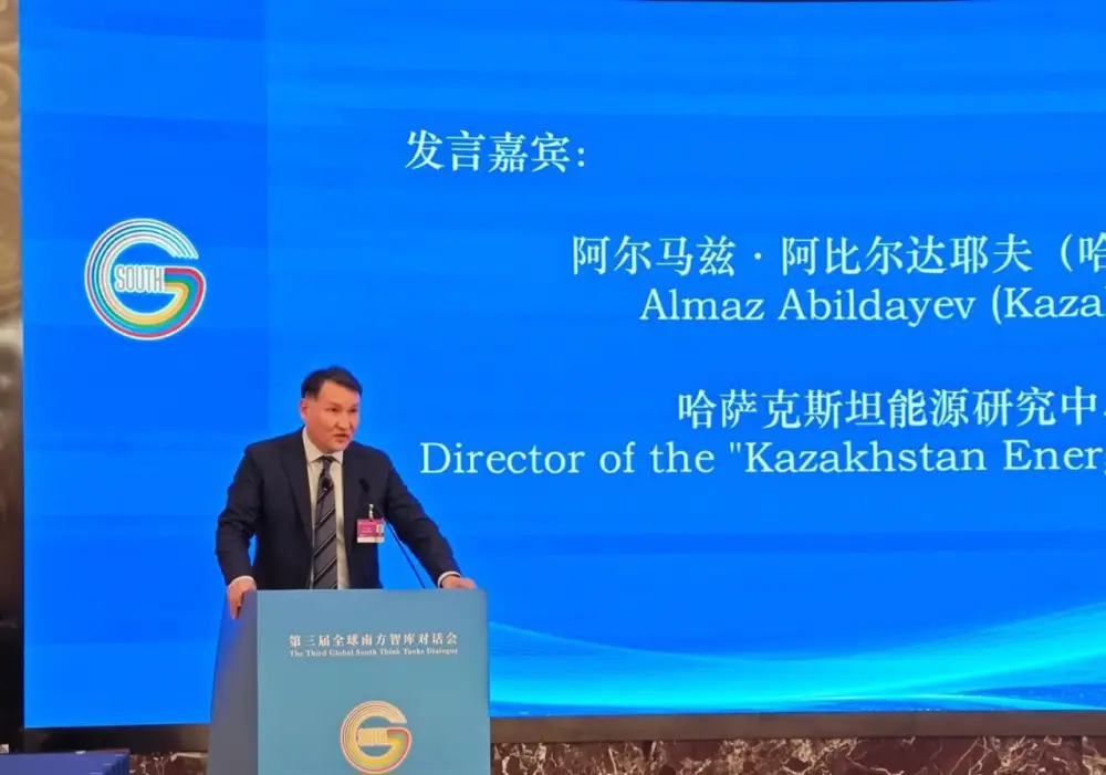 В Шанхае обсудили сотрудничество Казахстана со странами Глобального Юга (4)
