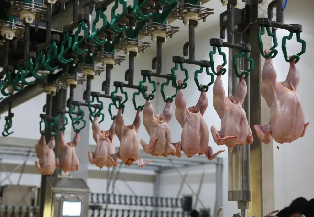 Жамбылская область входит в топ-3 по промышленному росту: произведено продукции на 1,1 трлн тенге (5)