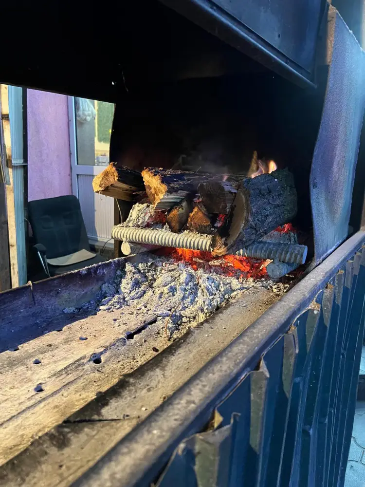 В Жетысуском районе Алматы пресекли незаконную работу «коптящихся» шашлычных (3)