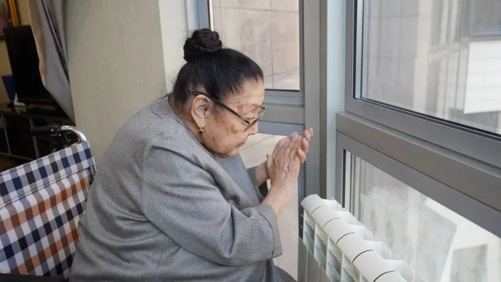 В Алматы военнослужащие с оркестром поздравили Бибигуль Тулегенову с днем рождения (4)