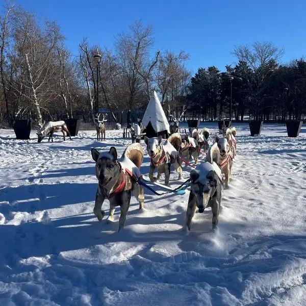 Немного волшебства: кто в Караганде создаёт новогоднюю атмосферу (4)