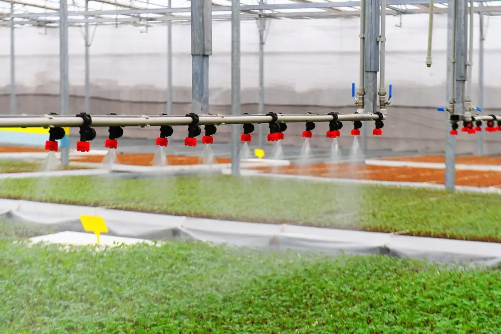 АПК Туркестанской области показывает высокие темпы развития (3)