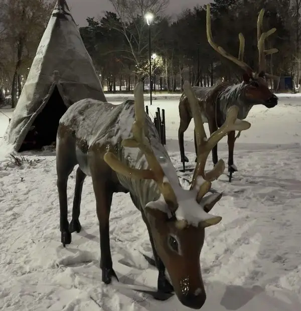 Немного волшебства: кто в Караганде создаёт новогоднюю атмосферу (5)