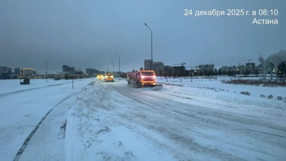 Более миллиона кубометров снега вывезли коммунальщики из Астаны (6)