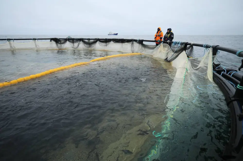 В Мангистауской области реализуется первый в Центральной Азии морской аквакультурный проект (4)