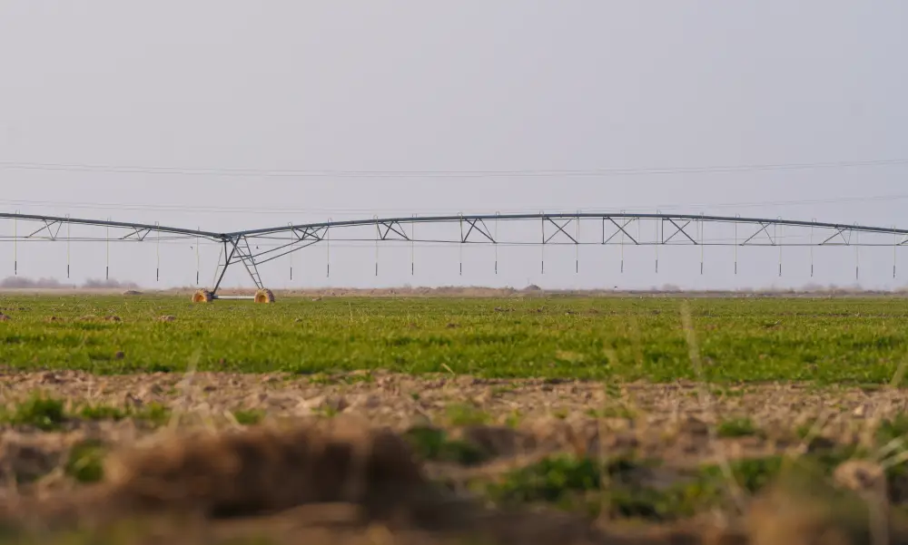 В ТУРКЕСТАНСКОЙ ОБЛАСТИ ВНЕДРЕНЫ ВОДОСБЕРЕГАЮЩИЕ ТЕХНОЛОГИИ НА 114 ТЫСЯЧАХ ГЕКТАРОВ ЗЕМЛИ (3)