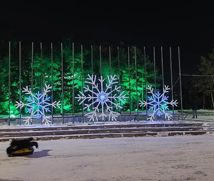 В Караганде зажгли главную новогоднюю ёлку (6)
