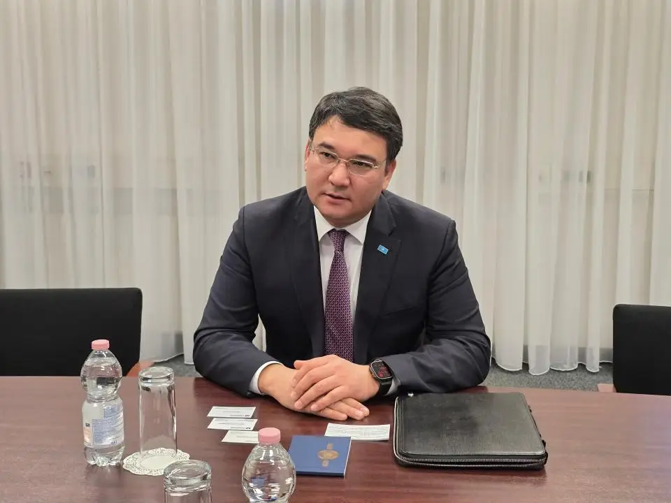 Казахстан и Австрия прорабатывают новые направления индустриального сотрудничества (2)