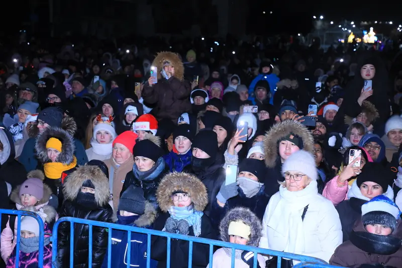 В Караганде зажгли главную новогоднюю ёлку (10)
