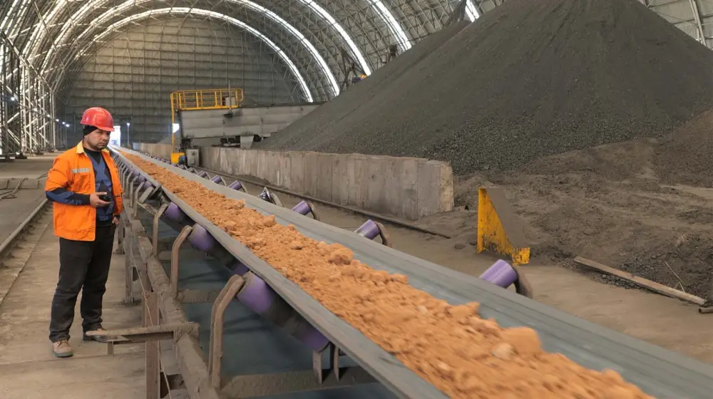 Бейбит Исабаев: «В области Жетісу за 10 месяцев достигнут устойчивый рост во всех отраслях» (4)