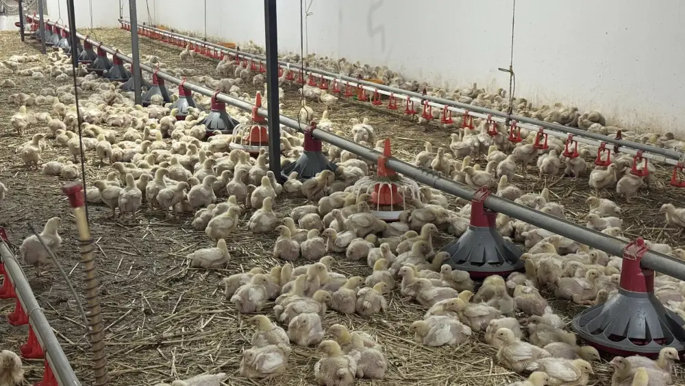 Советник главы Правительства посетил село Бесарык (5)