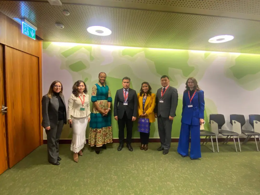 А. Ертаев проинформировал МОМ о совершенствовании миграционной политики в Казахстане (4)