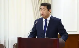 Казахстан увеличил экспорт переработанной продукции АПК на 32,4%